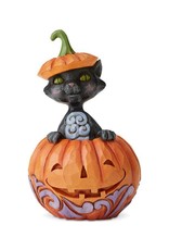 Jim Shore - Cat In Pumpkin Mini