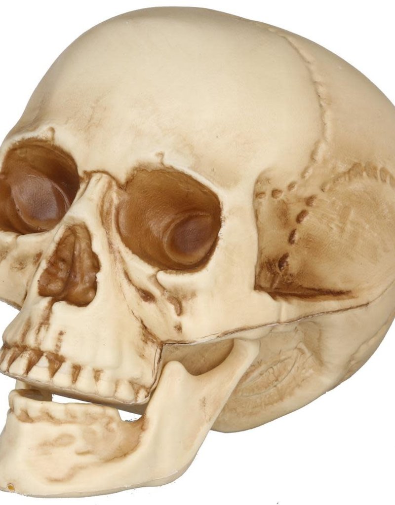 HD Faux Skull