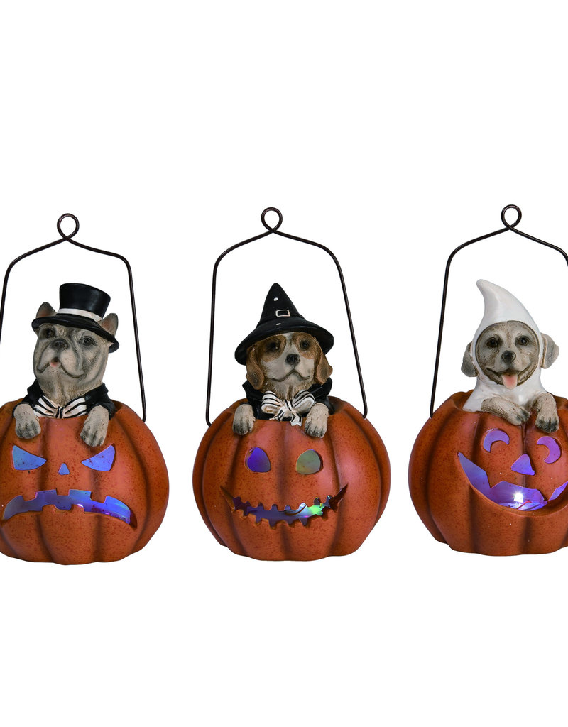 Transpac Res Light Up Dog In Jack-O-Lantern