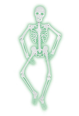 Mr. Bones -A-Glo Skeleton