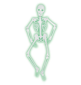 Mr. Bones -A-Glo Skeleton