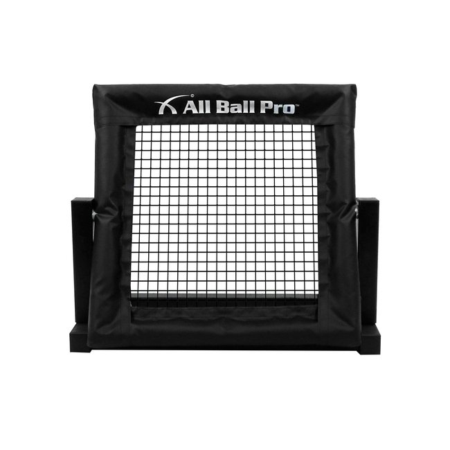 All Ball Pro Mini Pro Rebounder