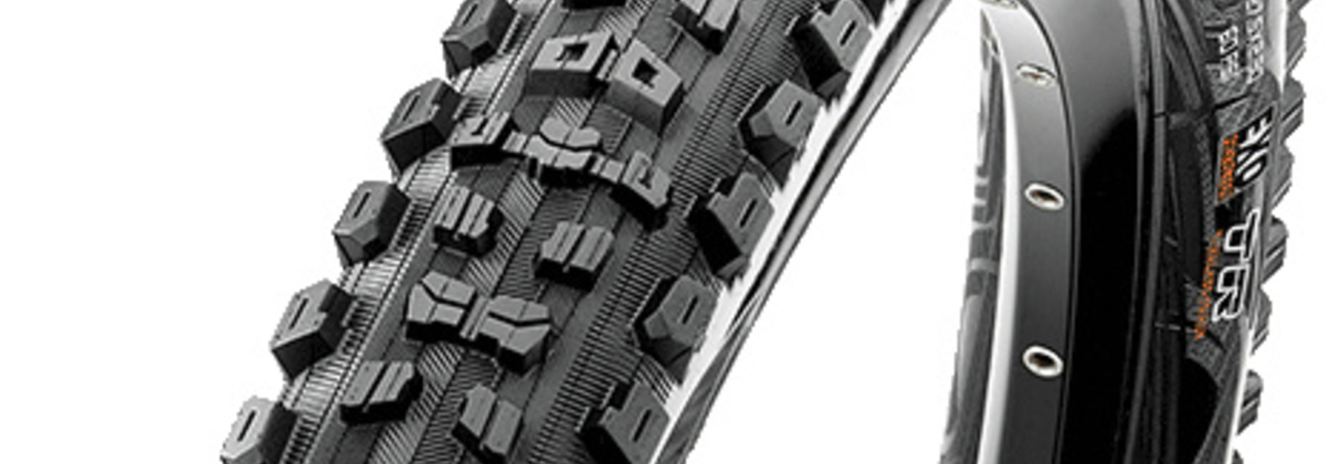 Aggressor Tire, 29er x 2.3" DC/EXO/TR