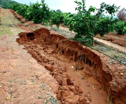 Silt Fences