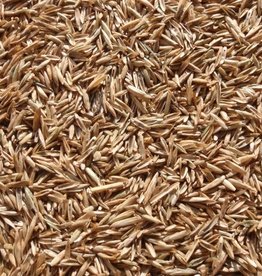 Annual Rye Grass Seed, 50 lb. Bag cool / winter seed temp