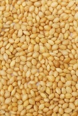 Golden German Foxtail Millet Seeds, 50lb. Bag warm temp seed