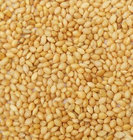 Golden German Foxtail Millet Seeds, 50lb. Bag warm temp seed