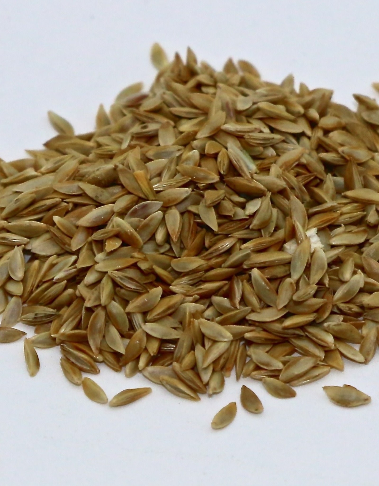 Raw Unhulled Bermuda Grass Seeds, 50 lb. Bag