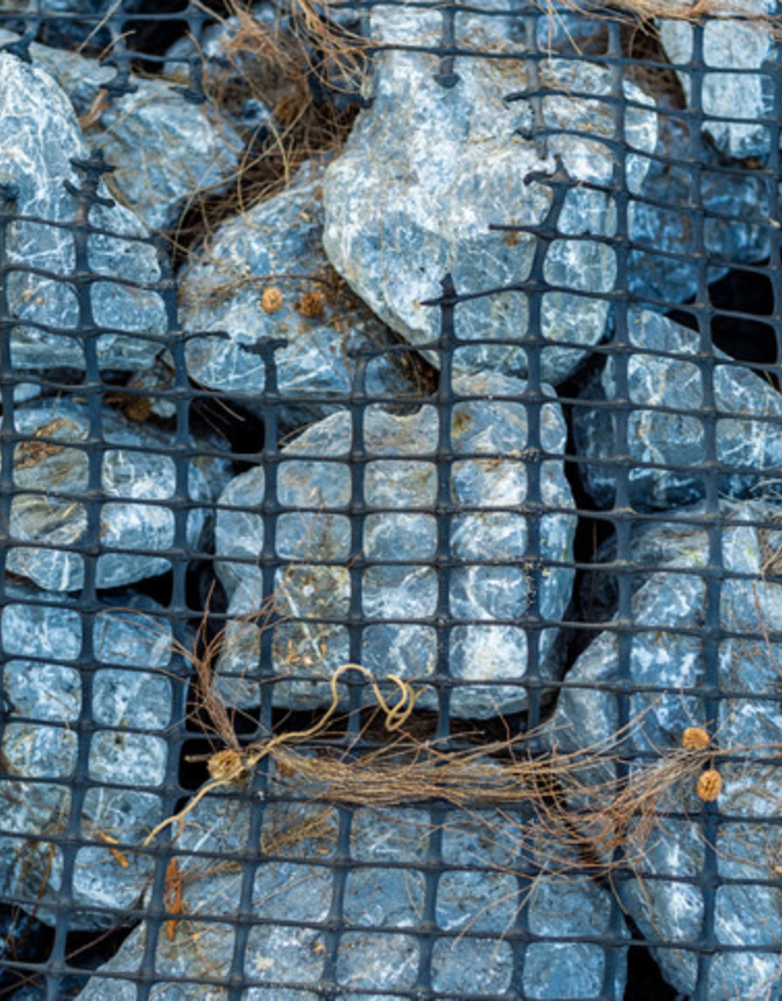 Welded Wire Mesh, Fence & Gabions