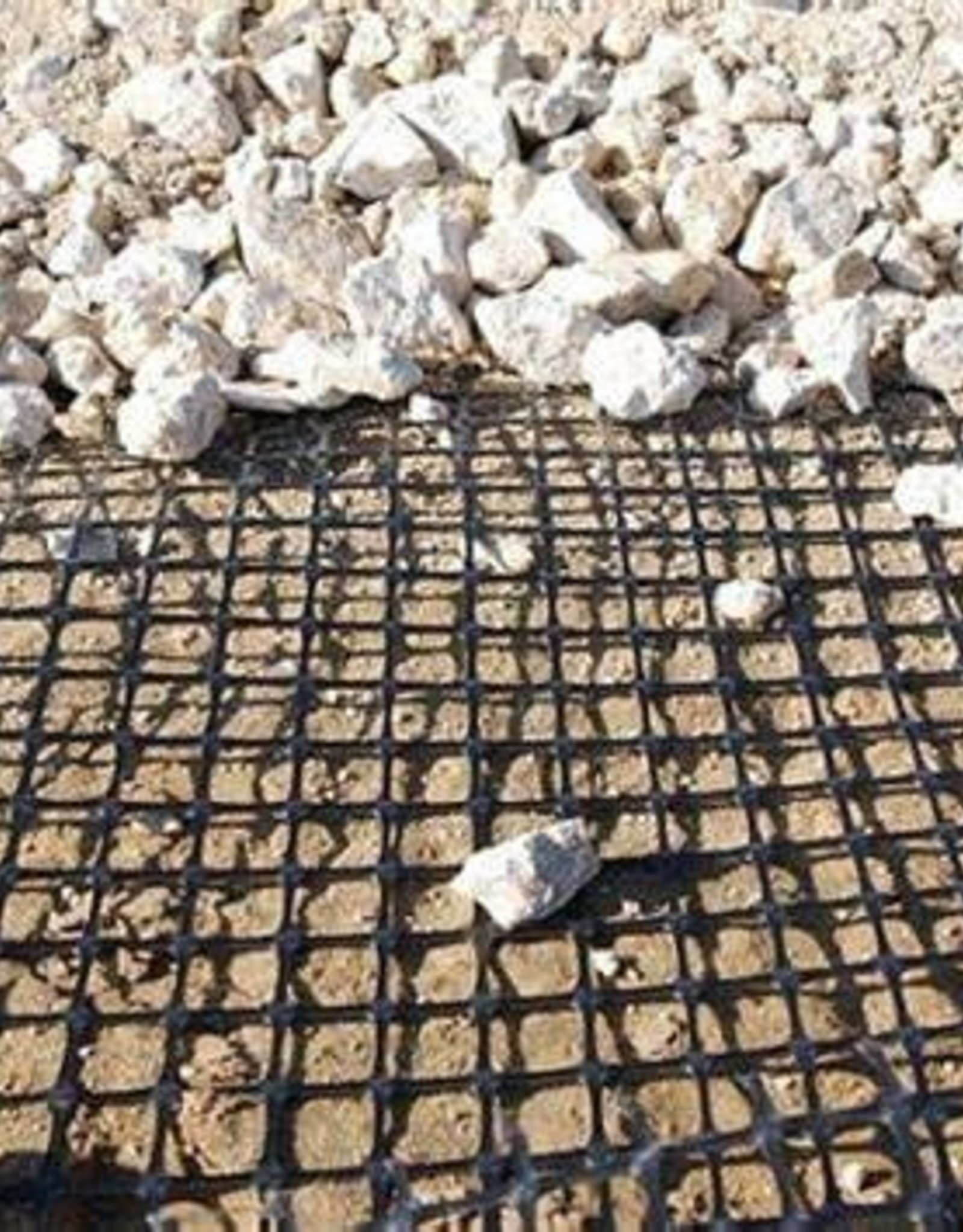 Geogrid BX2020 -DOT Type 2 - SZ. 12.5'x 328'  4,100SF (455.5 SY/RL)