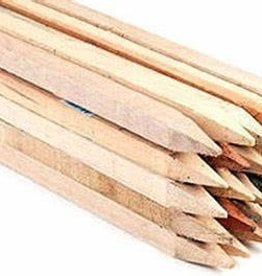 Wattle Stakes in VARIOUS OPTIONS