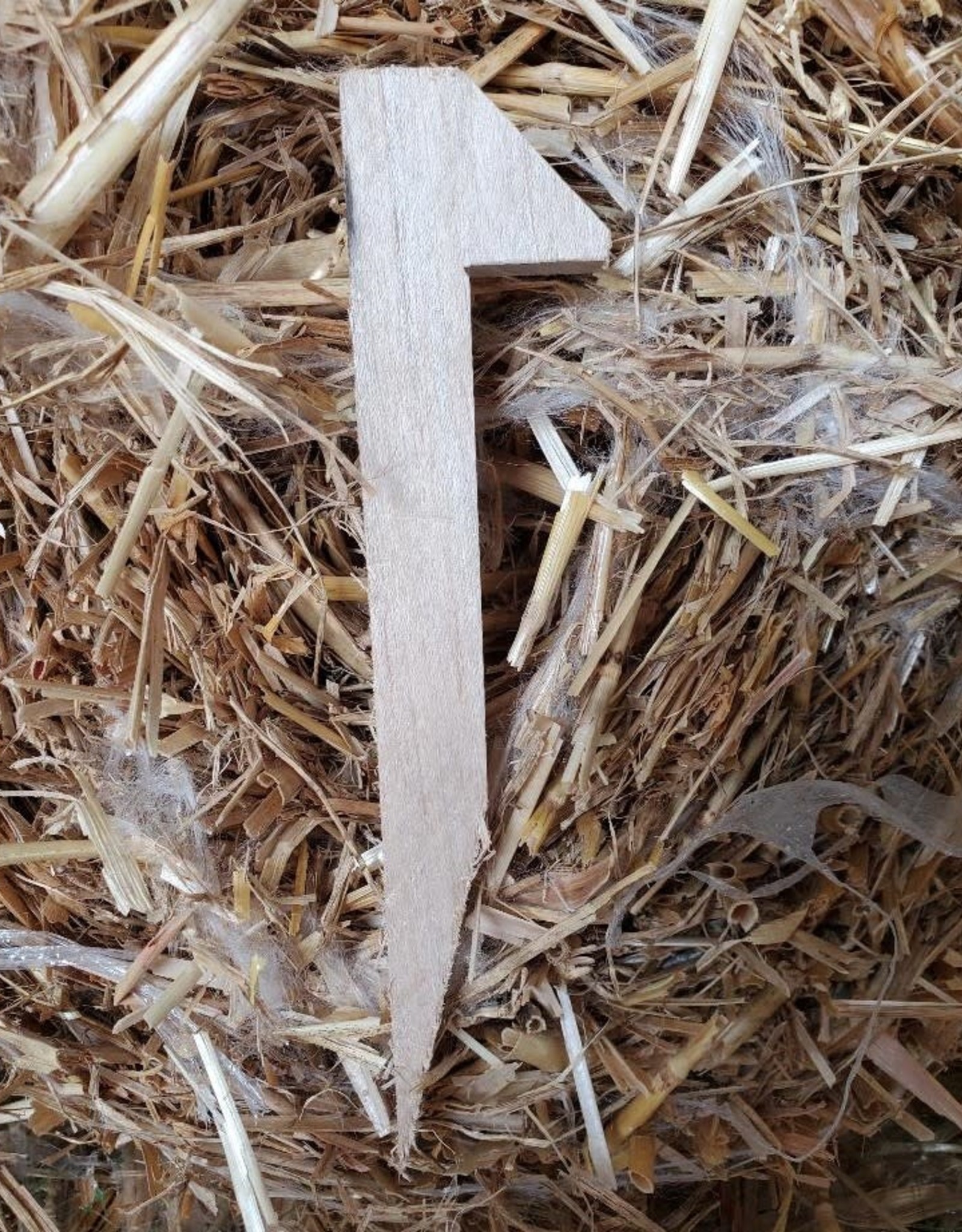 Bio-Friendly Netting Pegs