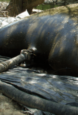 8 oz. Filter Dewatering  / Silt Bags