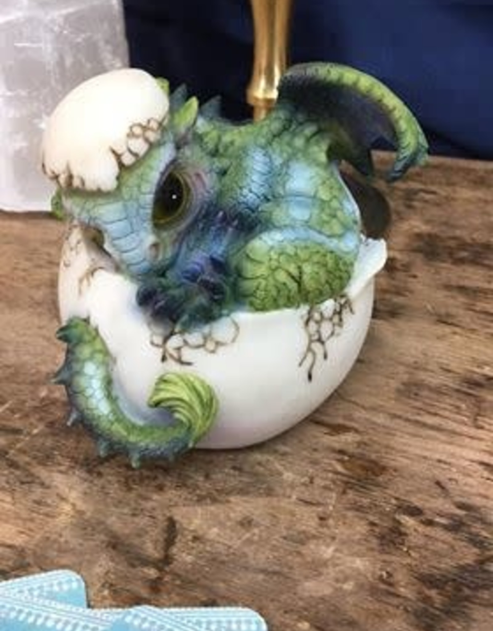 Bebe Dragon En Eclosion Bleu Et Vert 3 Boutique Nouvelle Lune