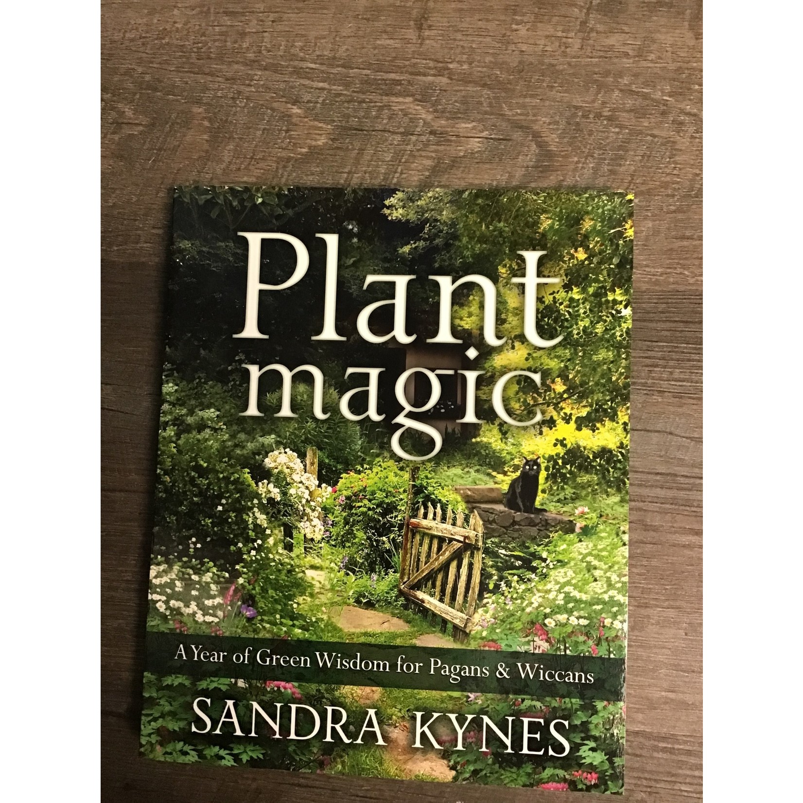 Plant Magic - Sandra Kynes