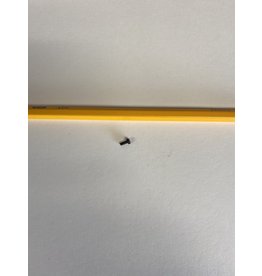 Hammerli 152 Screw 1043120