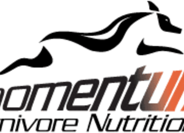 Momentum