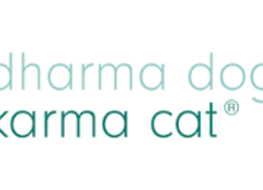 Dharma Dog