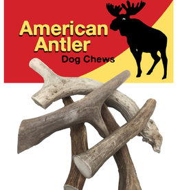 American Antler American Antler