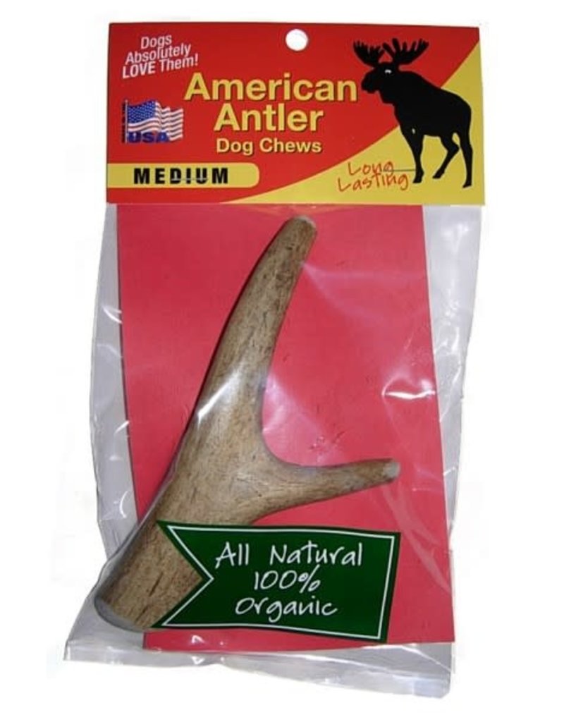 American Antler American Antler