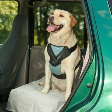 Bergan Car Harness Tether