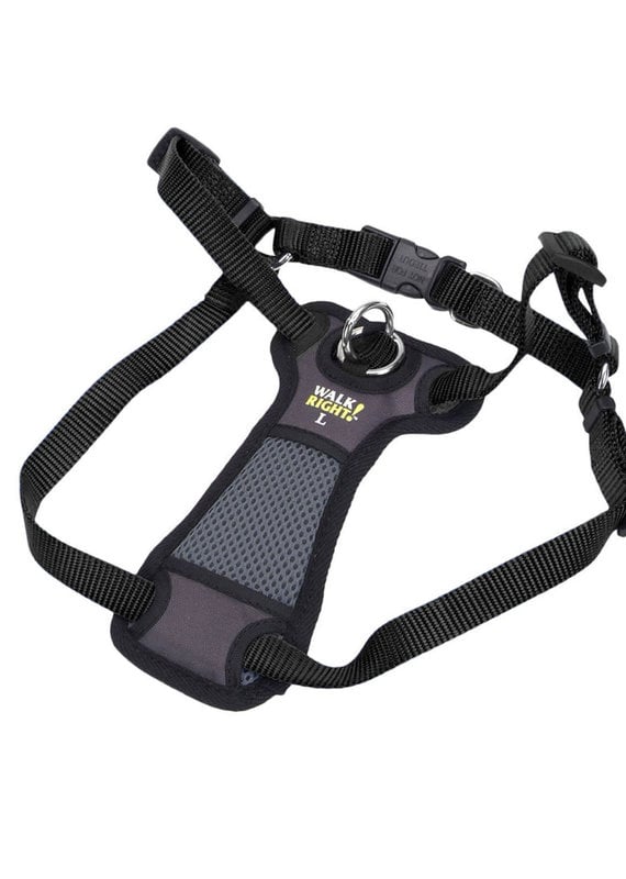 Coastal Coastal Walk Right Large Front Connect Padded Dog