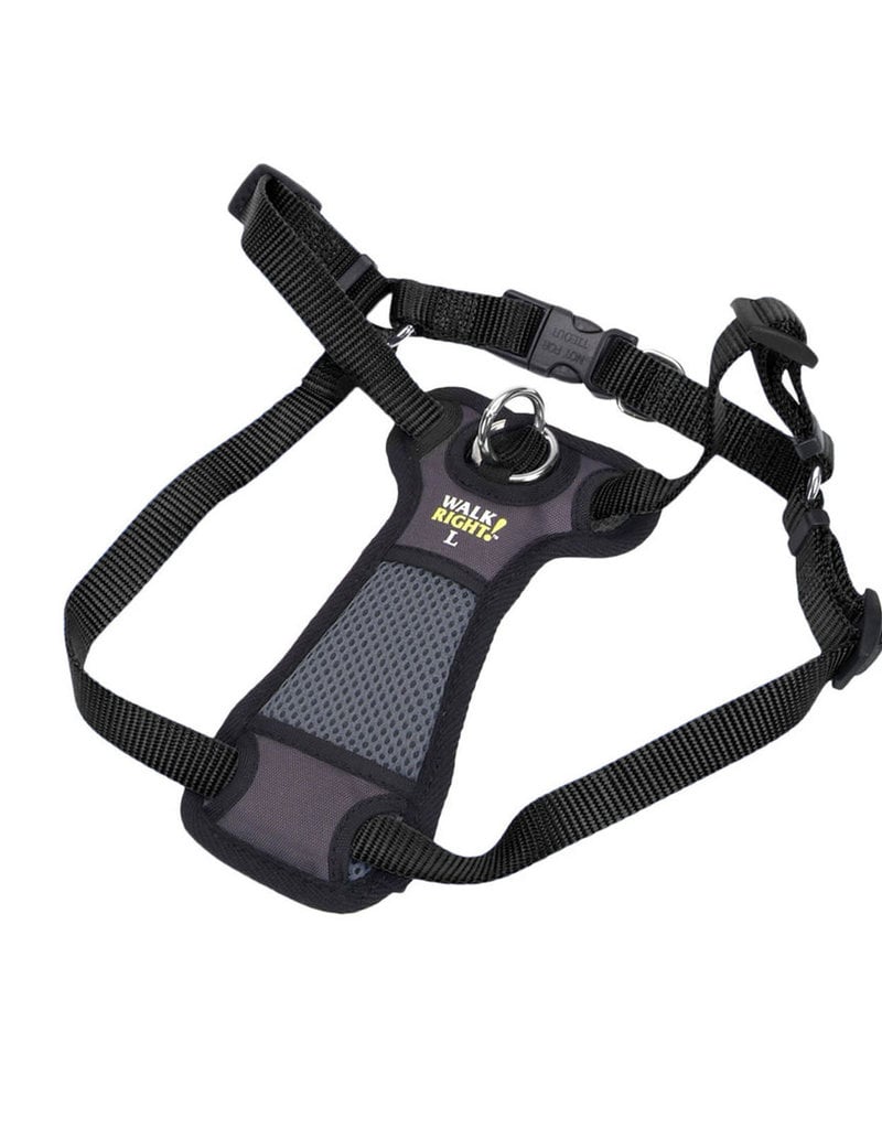 Coastal Coastal Walk Right Large Front Connect Padded Dog