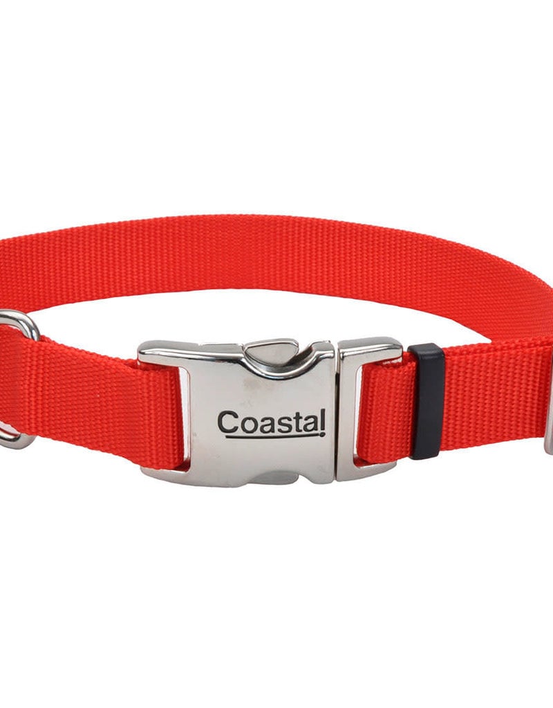 Coastal Coastal 5/8" Metal Buckle Collar 10-14"