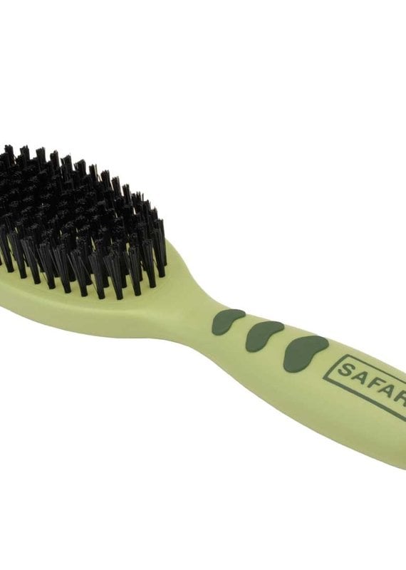 Coastal Coastal Safari  Brush