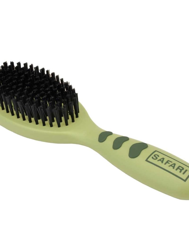 Coastal Coastal Safari  Brush