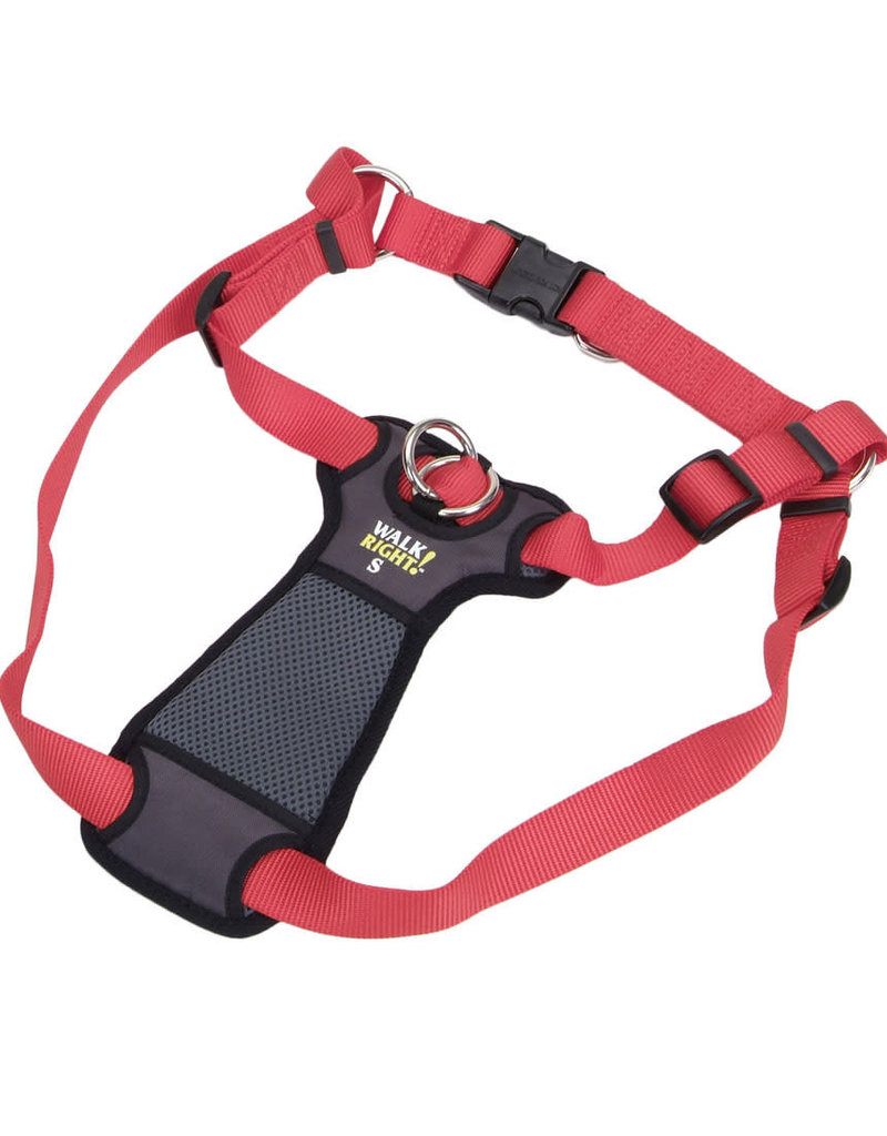 Coastal Coastal Walk Right Large Front Connect Padded Dog