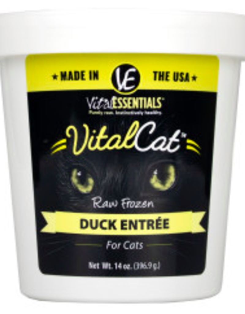 Vital Essentials Vital Essentials Frozen Tub Cat 14oz
