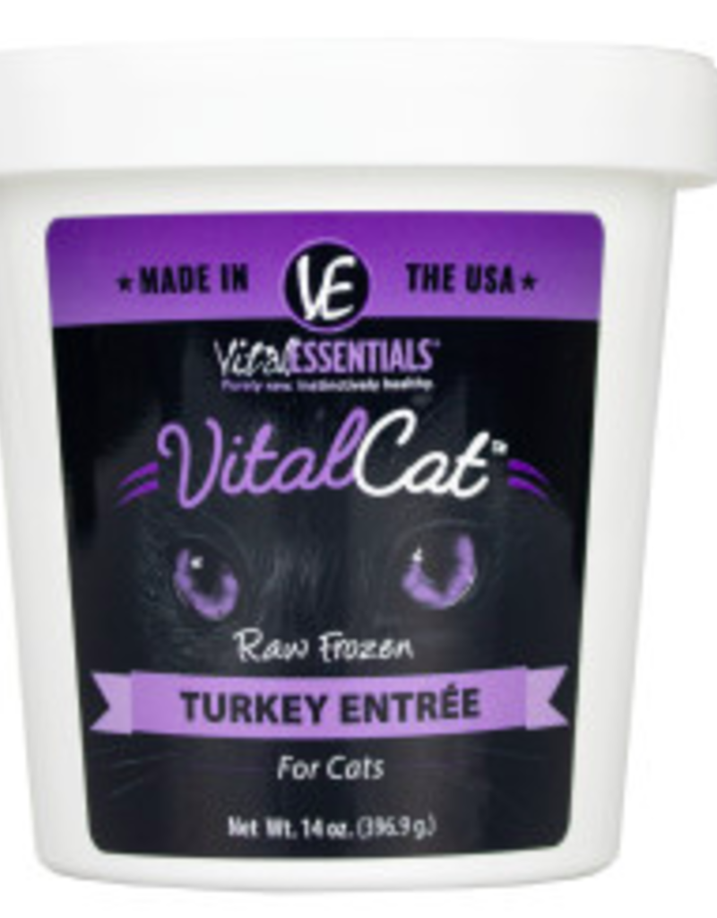 Vital Essentials Vital Essentials Frozen Tub Cat 14oz