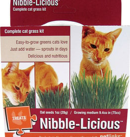 Pet Link PetLink Nibble-licious Cat Grass