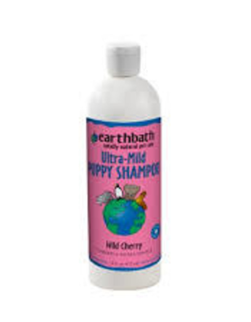 Earth Bath Earth Bath Shampoo 16oz