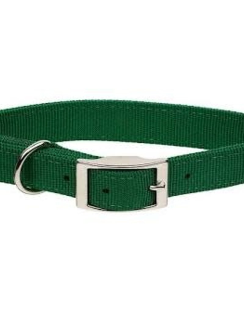 Coastal Coastal Nylon 1" Collar