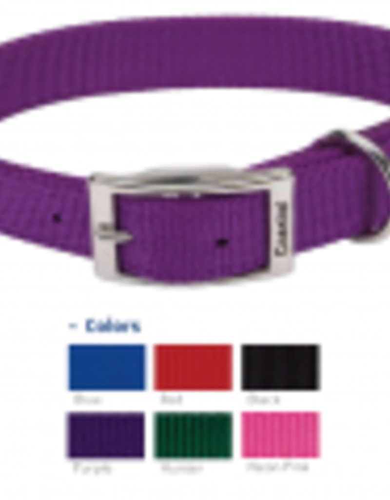 Coastal Coastal Nylon 1" Collar