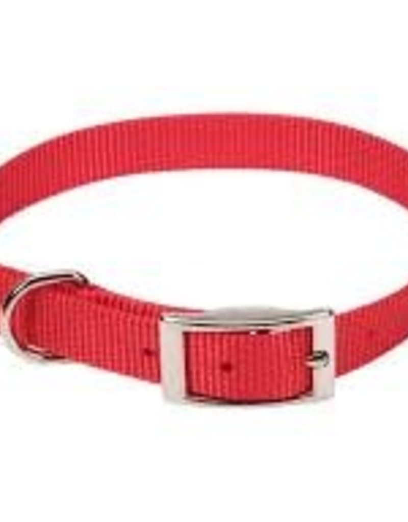 Coastal Coastal Nylon 1" Collar