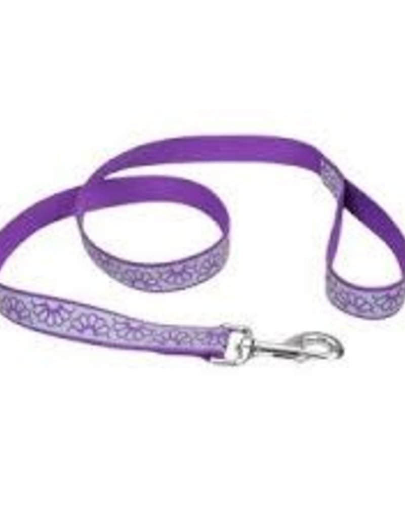 Coastal Coastal Lazer Brite Reflective Leash 6'