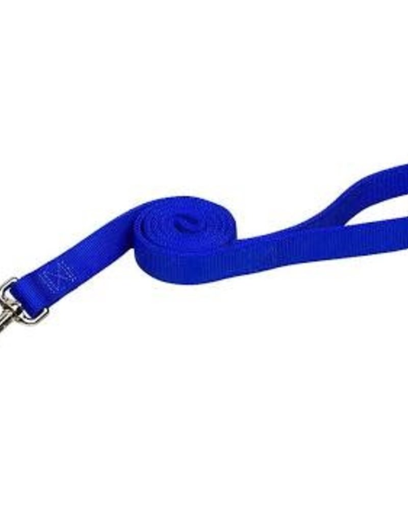 Coastal Coastal Nylon 1" Double Training Lead 6'