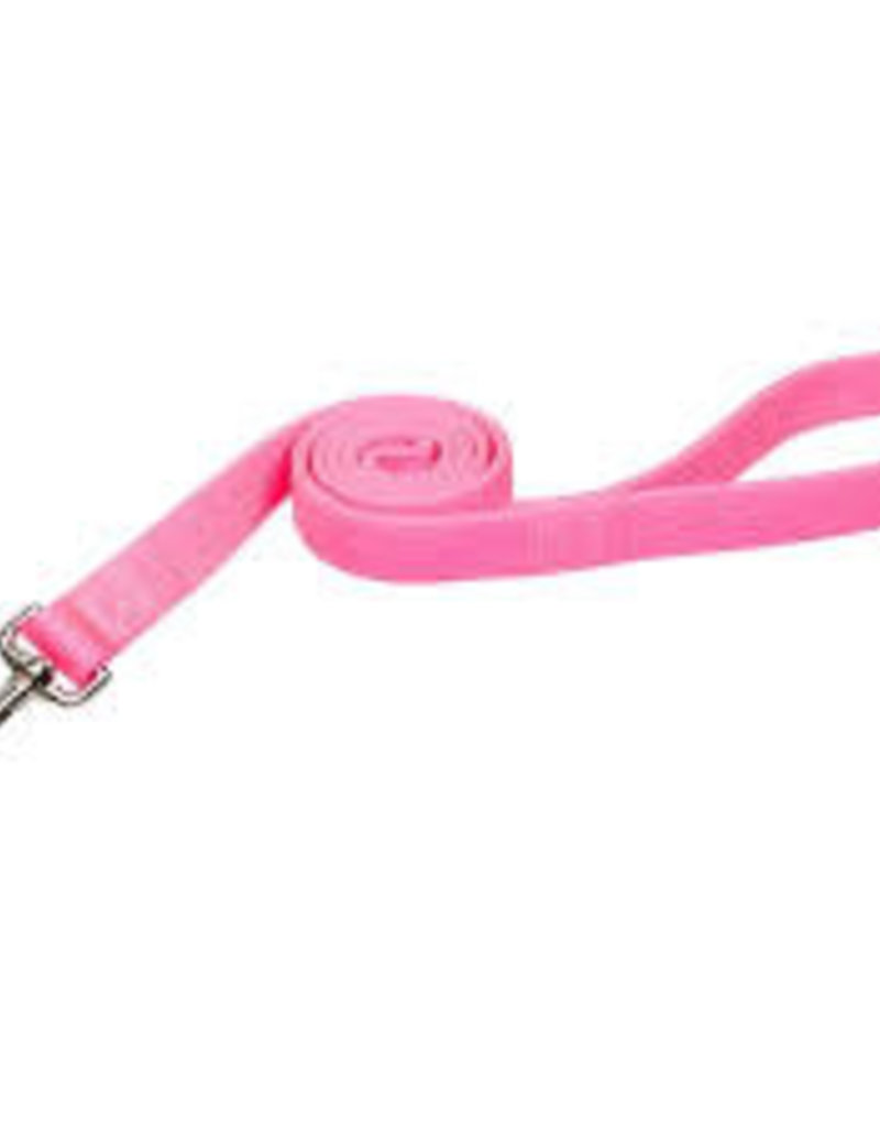 Coastal Coastal Nylon 1" Double Training Lead 6'