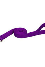 Coastal Coastal Nylon 1" Double Training Lead 6'