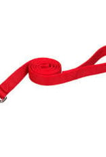 Coastal Coastal Nylon 1" Double Training Lead 6'