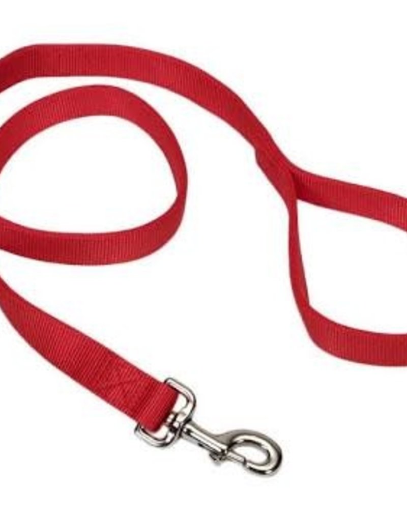 Coastal Coastal Nylon 5/8" Lead 4'