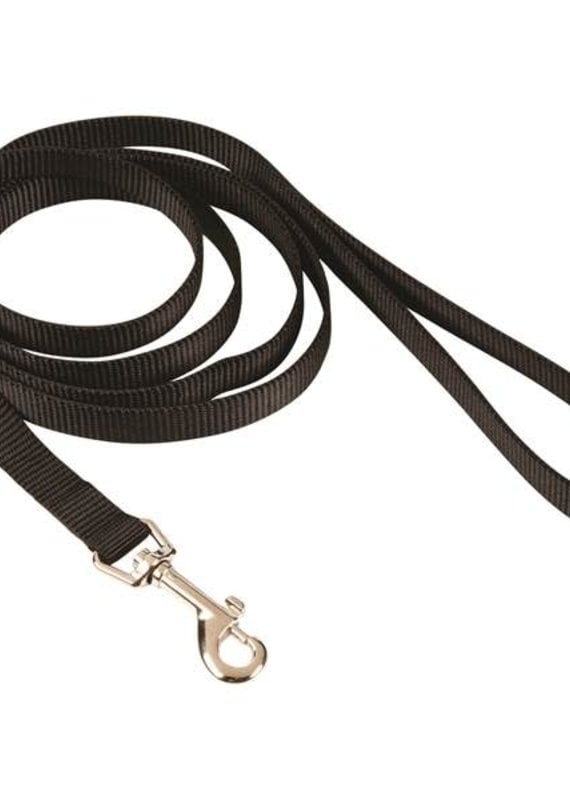 Coastal Coastal Nylon 5/8" Training Lead 6'