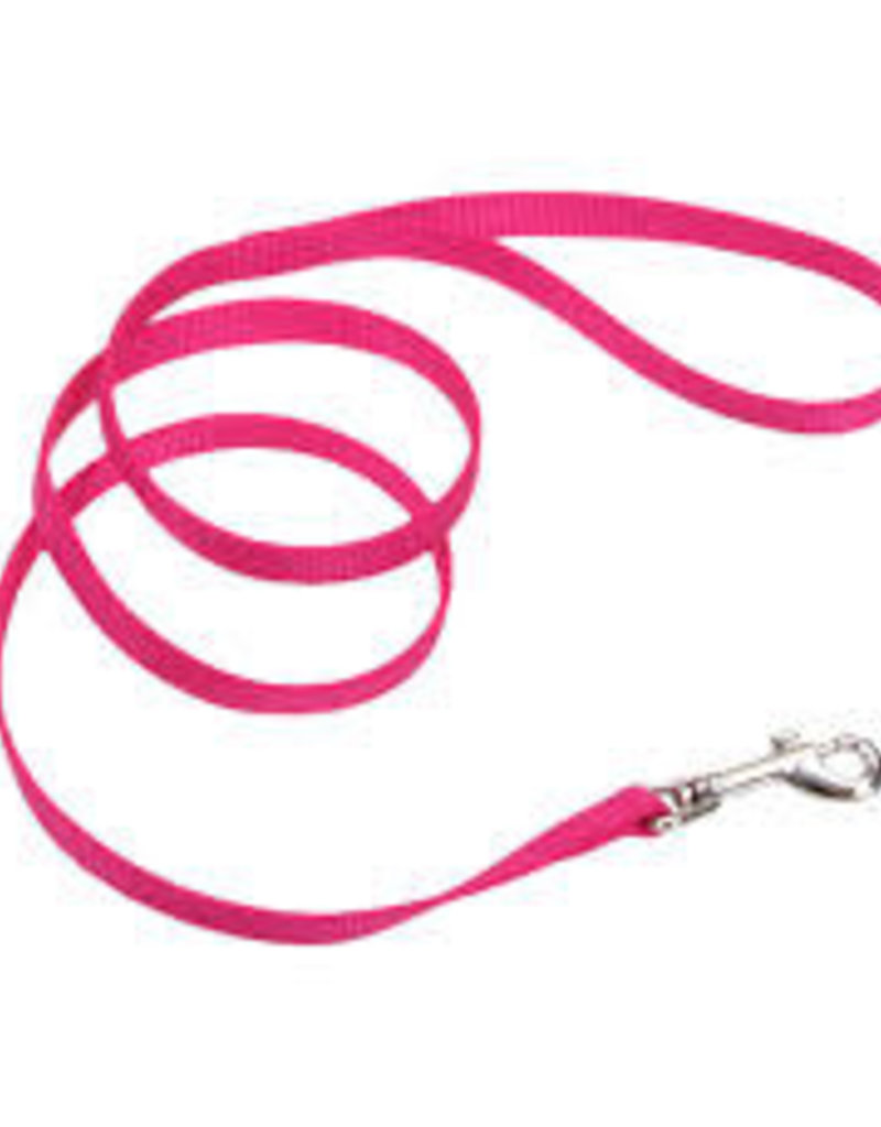 Coastal Coastal Nylon 5/8" Training Lead 6'