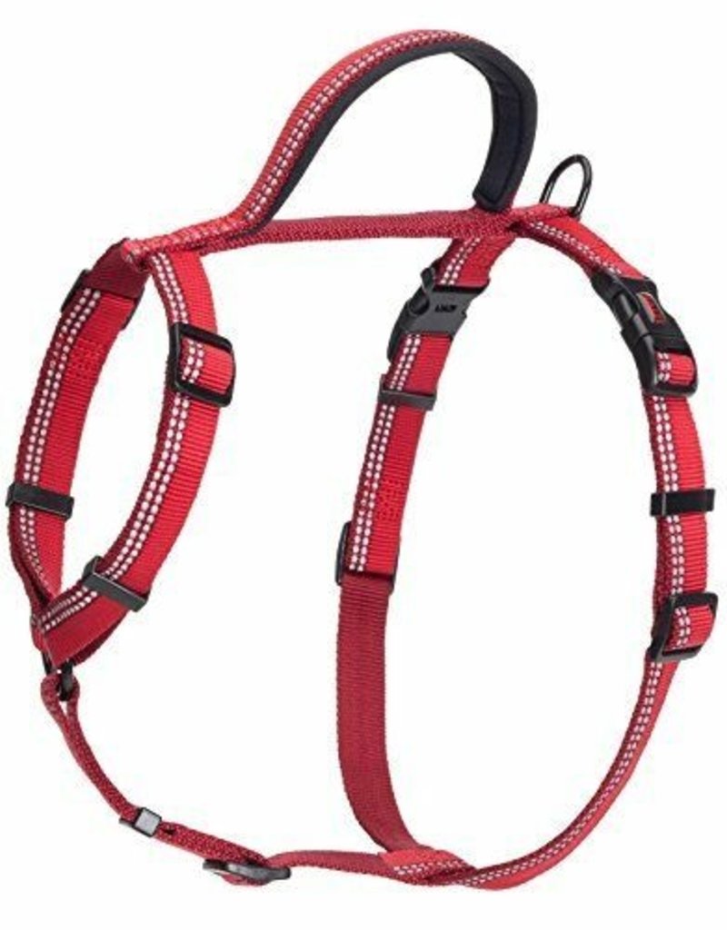 The Company of Animals Halti Walking Harness