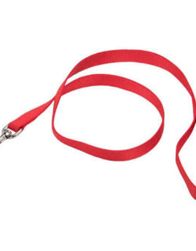 Coastal Coastal 3/4" Training Lead Red