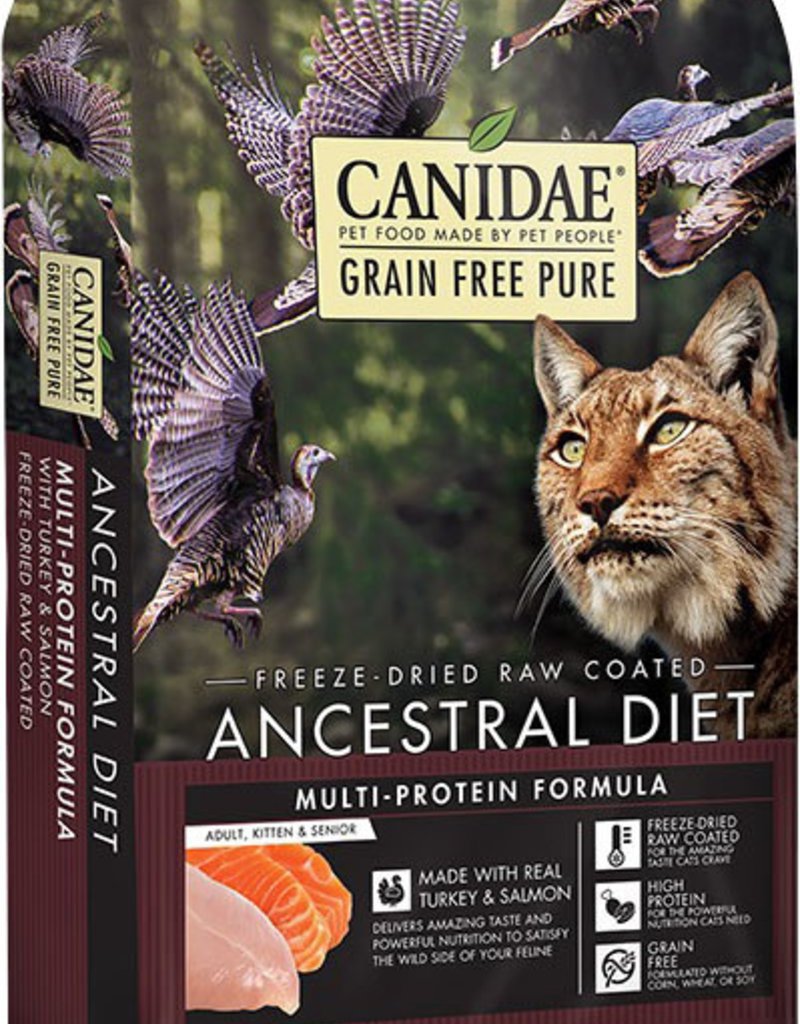 Canidae Canidae Cat Pure Ancestral Multi