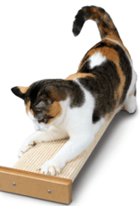 StarMark Smart Cat Bootsies Combo Scratcher